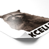 Hervorragendes böse Plotter-Raccoon Fotodruck (Ecke)