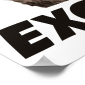 Hervorragendes böse Plotter-Raccoon Poster (Ecke)