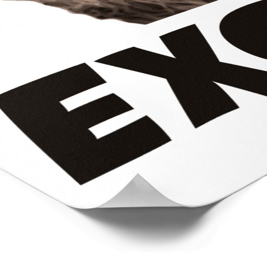 Hervorragendes böse Plotter-Raccoon Poster (Ecke)