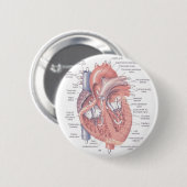 Herz-Anatomie Button (Vorne & Hinten)