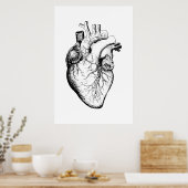 Herz Anatomie Illustrationsposter Poster (Küche)