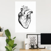 Herz Anatomie Illustrationsposter Poster (Heimbüro)