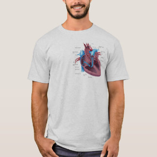 Herz-Anatomie-lustiges Shirt