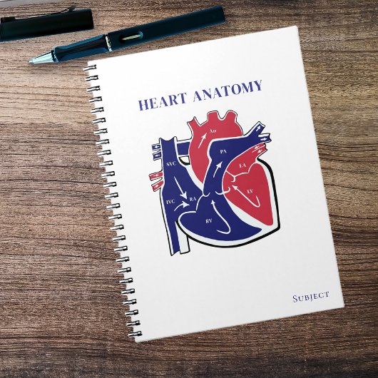 Herz Anatomie- Notizblock