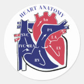 Herz Anatomie- Runder Aufkleber (Vorderseite)