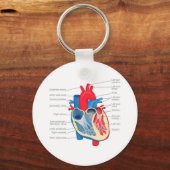 Herz_Anatomie Schlüsselanhänger (Vorderseite)