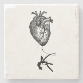 Herz-Anatomie - Trapezkünstler Steinuntersetzer (Vorderseite)