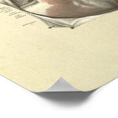 Herz Arteries Venen Anatomie Druck Poster (Ecke)