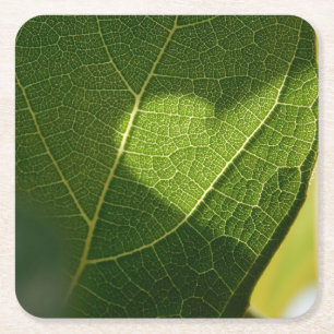 Herz auf einem sonnenbeschienenen Blatt-Unterleger Rechteckiger Pappuntersetzer
