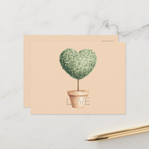 Herz Baum Liebe Postkarte