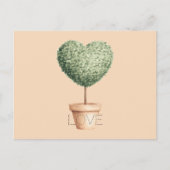 Herz Baum Liebe Postkarte (Vorderseite)