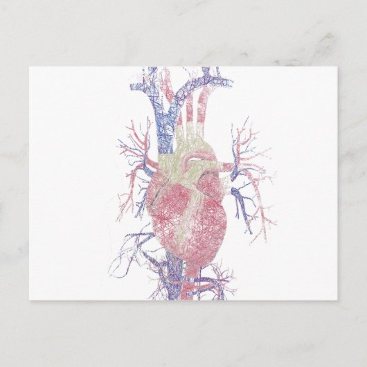 Herz (Biro) Postkarte (Vorderseite)