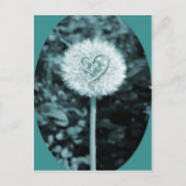 Herz blume Herz-Blume Postkarte (Vorderseite)