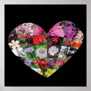 Herz-Blumen Poster