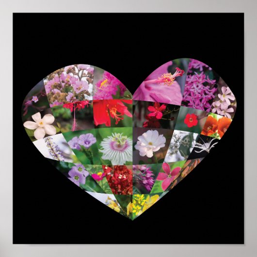 Herz-Blumen Poster (Vorne)