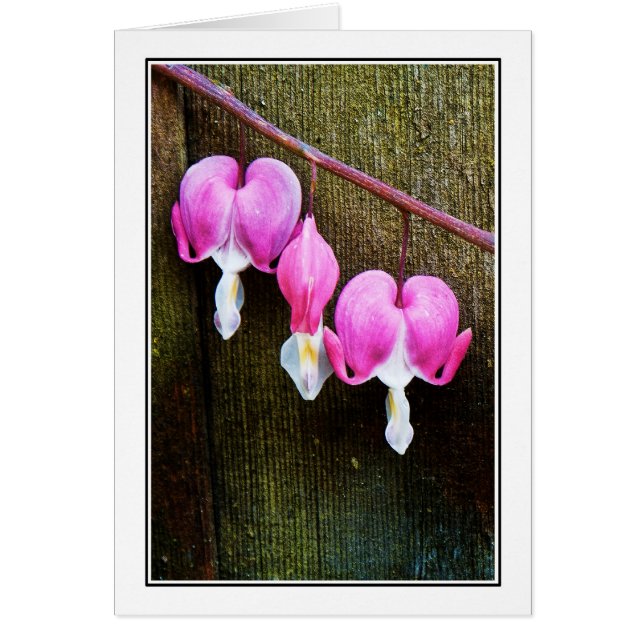 Herz-Blutung (Vorne)