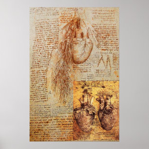 Herz, Bronchiale Arterien und ihre Blutgefäße Poster