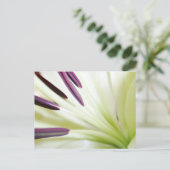 Herz der Lily Fine Art Floral Fotografie Postkarte (Stehend Vorderseite)