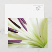 Herz der Lily Fine Art Floral Fotografie Postkarte (Vorne/Hinten)
