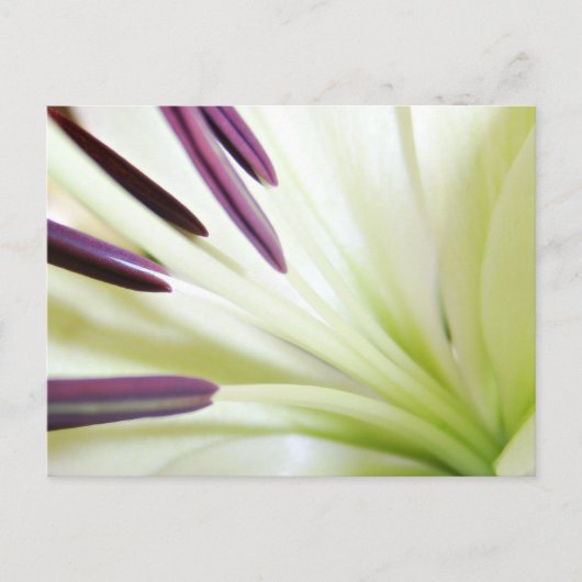 Herz der Lily Fine Art Floral Fotografie Postkarte (Vorderseite)