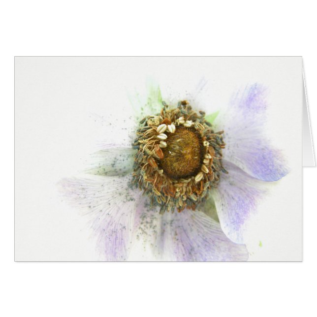 Herz einer Anemone (Vorderseite (Horizontal))