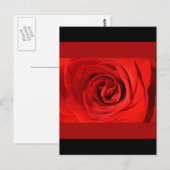 Herz einer Rose Postkarte (Vorne/Hinten)