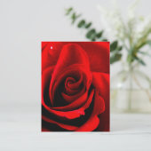 Herz einer Rose Postkarte (Stehend Vorderseite)