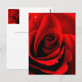 Herz einer Rose Postkarte (Vorne/Hinten)