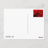 Herz einer Rose Postkarte (Rückseite)
