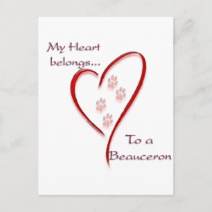 Herz gehört zu Beauceron; Liebe Beauceron Postkarte
