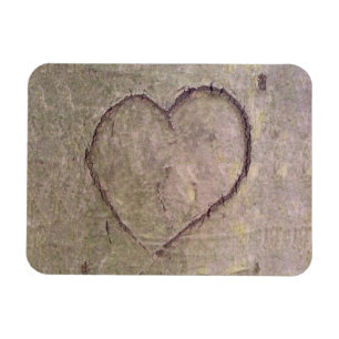 Herz geschnitzt in einem Baum Magnet