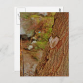 Herz in Bäume gehauen Postkarte (Vorne/Hinten)