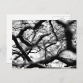 Herz in den Branchen Postkarte (Vorne/Hinten)