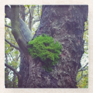 Herz in Moss Glasuntersetzer