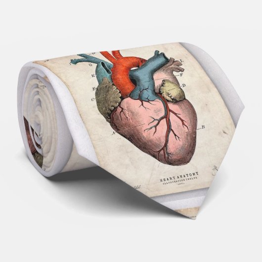 Herz-Krawatte Krawatte (Gerollt)