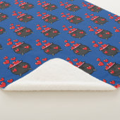 Herz-Liebe-Pop Sherpadecke (3/4)