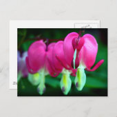 Herz Postkarte (Vorne/Hinten)