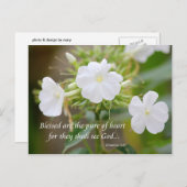 Herz Postkarte (Vorne/Hinten)