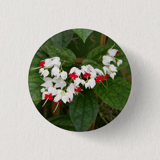 Herz-Rebe-Knopf Button (Vorderseite)