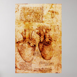 Herz, seine Blutgefäße, Leonardo Da Vinci Braun Poster