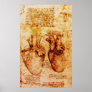 Herz, seine Blutgefäße, Leonardo Da Vinci Brown Poster
