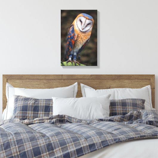 Herz-Shaped Face Barn Owl Leinwanddruck (Insitu (Schlafzimmer))