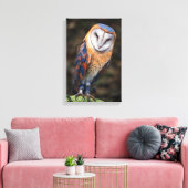 Herz-Shaped Face Barn Owl Leinwanddruck (Insitu (Wohnzimmer))