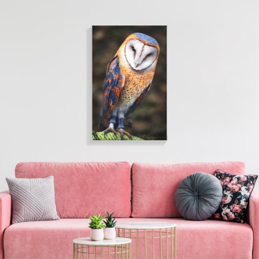Herz-Shaped Face Barn Owl Leinwanddruck (Insitu (Wohnzimmer))