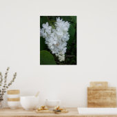 Herz Shaped Lilac Poster (Küche)