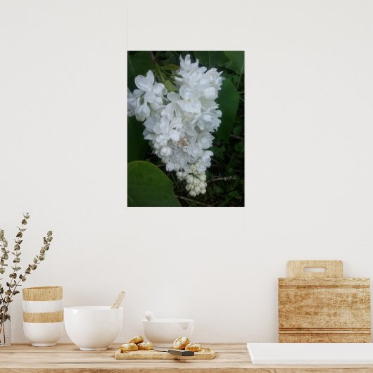 Herz Shaped Lilac Poster (Küche)