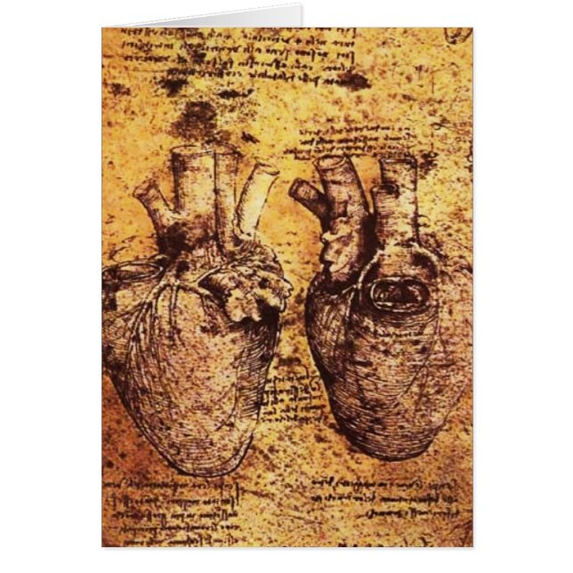 Herz und Blutgefäße (Vorne)