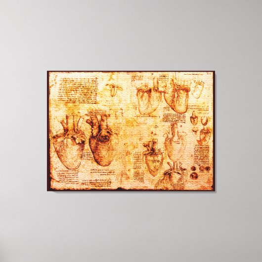 Herz und Blutgefäße, braun Leinwanddruck (Vorderseite)
