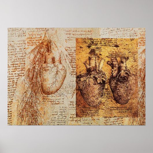 Herz und Blutgefäße / Bronchiale Arterien Poster (Vorne)