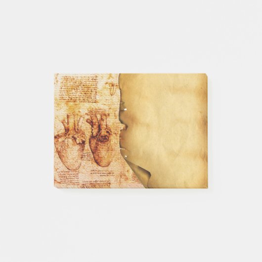 Herz und Blutgefäße Medizinisches Pergament Post-it Klebezettel (Vorderseite)